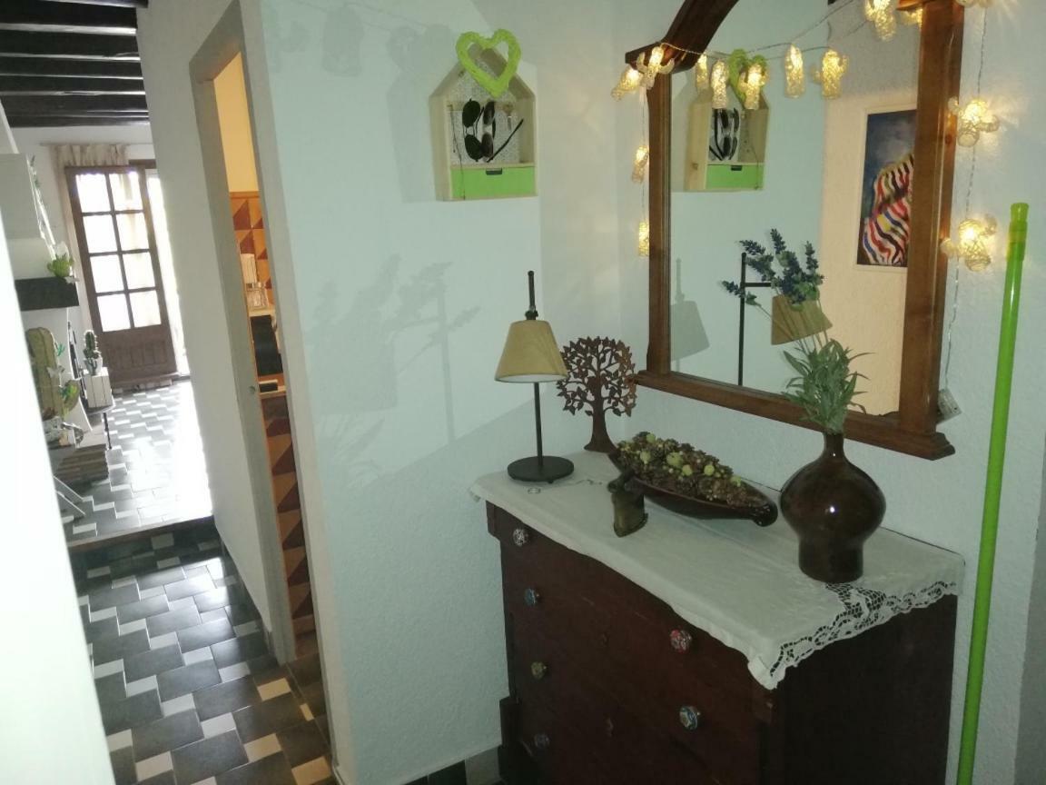 Can Cactus גרייאיה מראה חיצוני תמונה