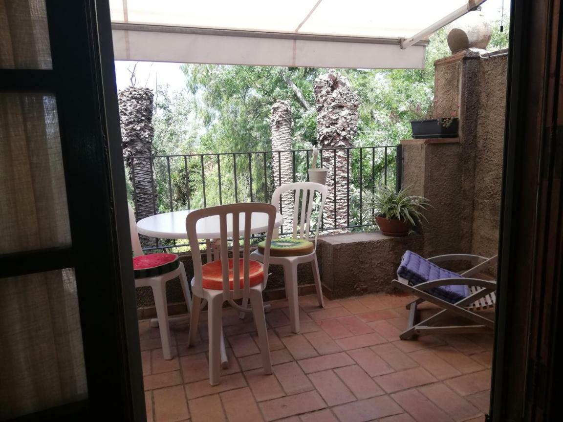 Can Cactus גרייאיה מראה חיצוני תמונה