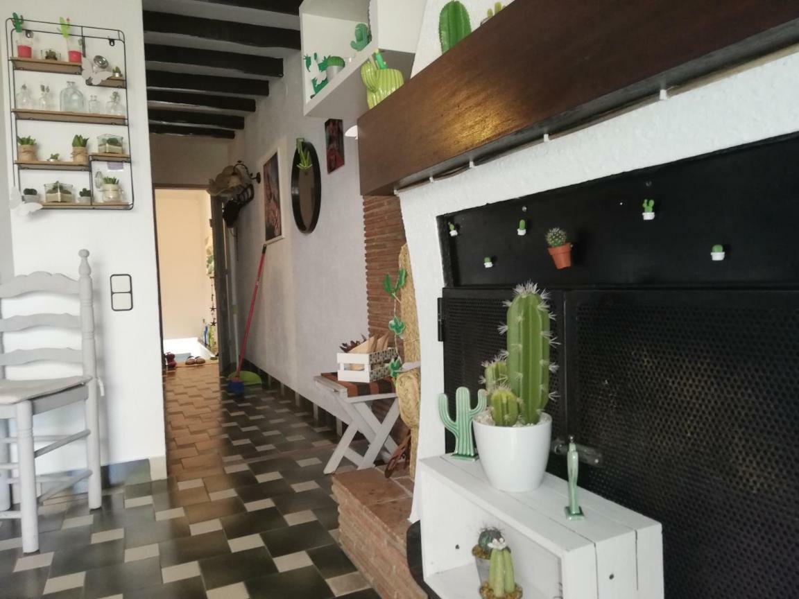 Can Cactus גרייאיה מראה חיצוני תמונה