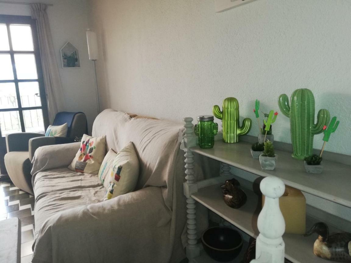 Can Cactus גרייאיה מראה חיצוני תמונה