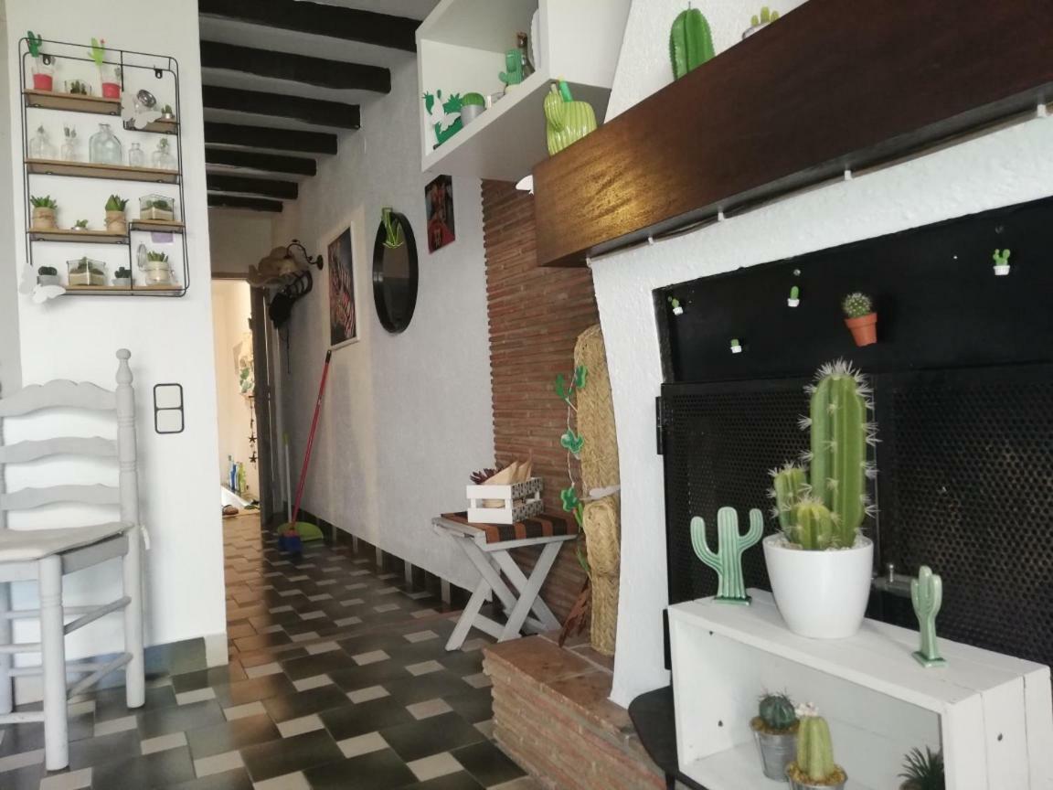 Can Cactus גרייאיה מראה חיצוני תמונה