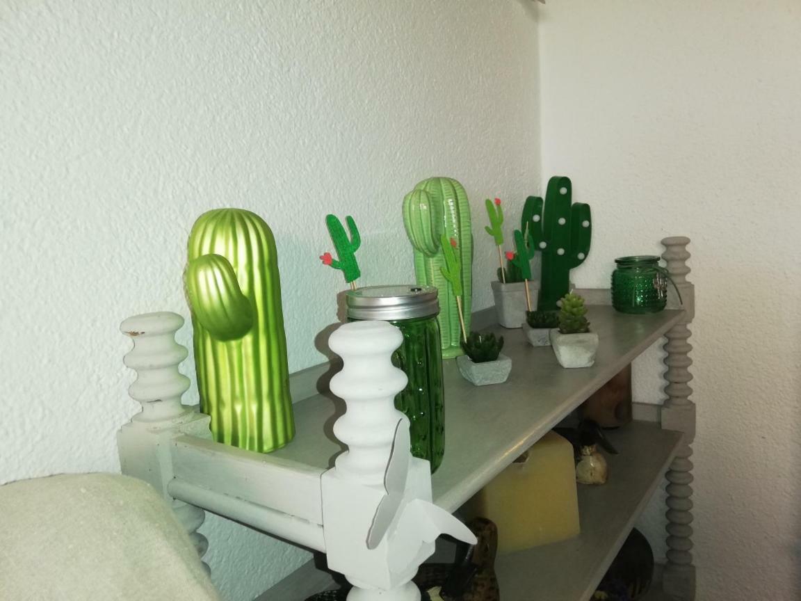Can Cactus גרייאיה מראה חיצוני תמונה